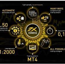 Exness tidak ada tautan? Petunjuk untuk memperbaiki kesalahan ini